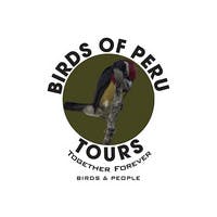 Birds of Peru Tours's photo