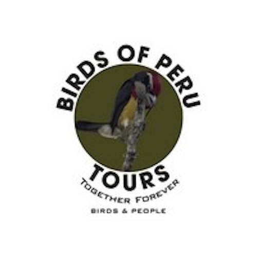 Bird watching Tours in South America