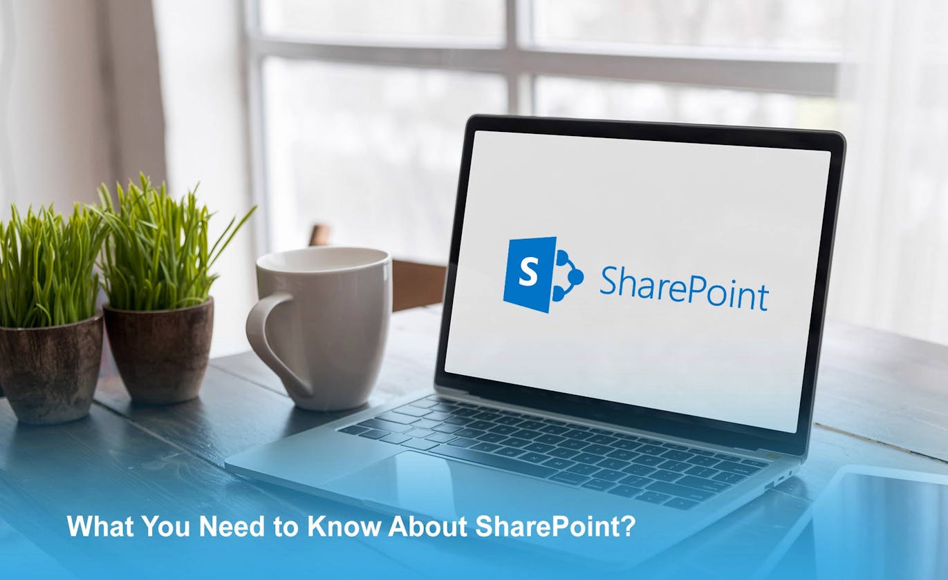 Everything you ever wanted to know about SharePoint