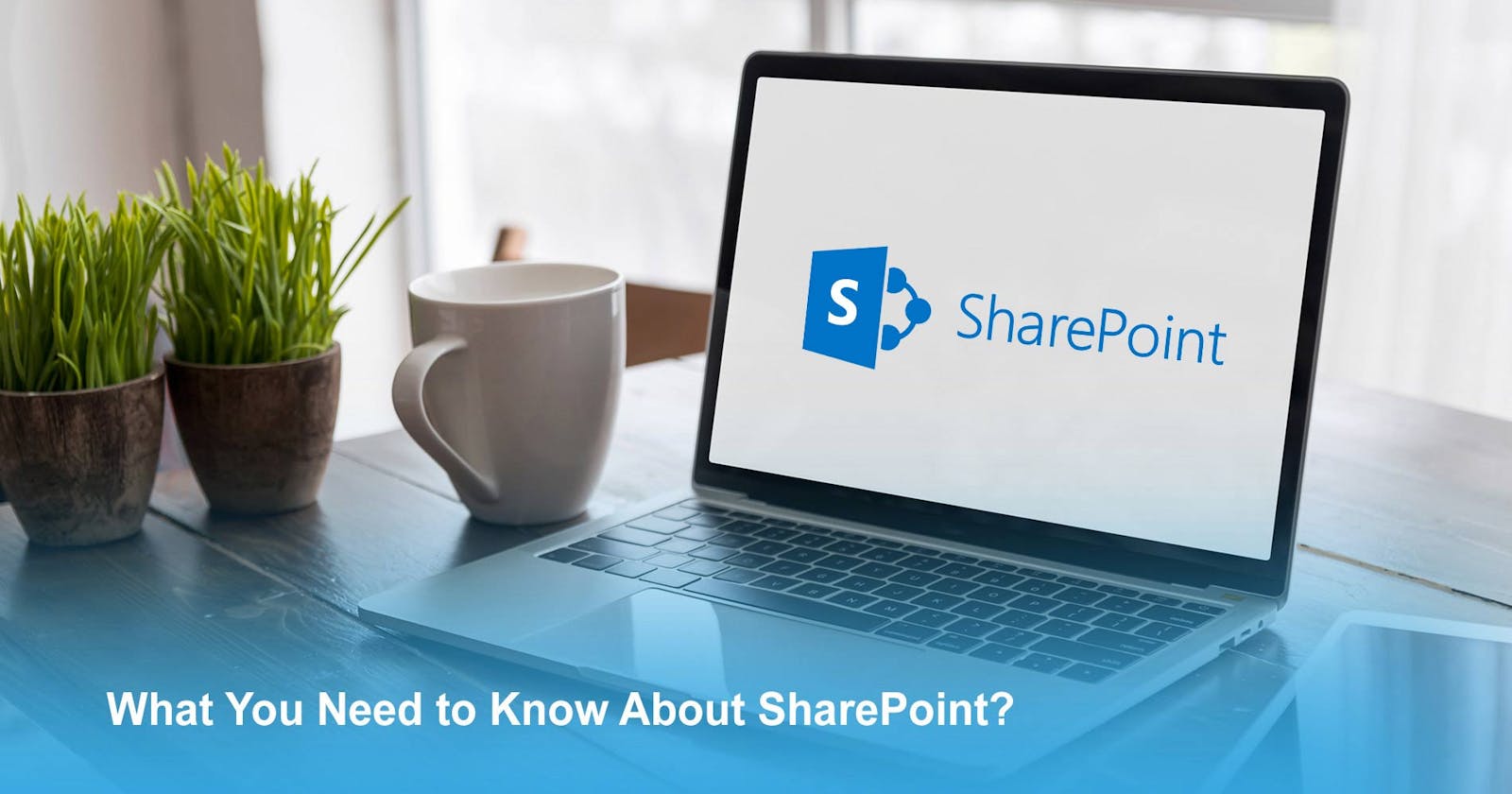 Everything you ever wanted to know about SharePoint