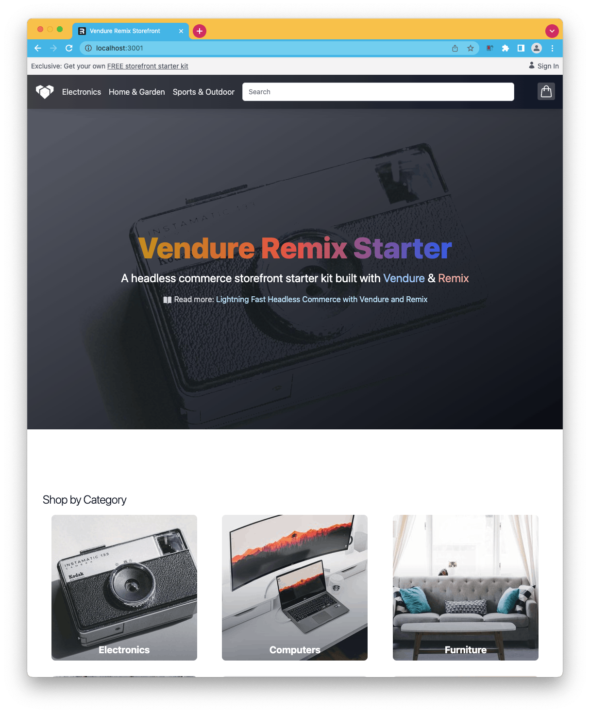 Remix Storefront example