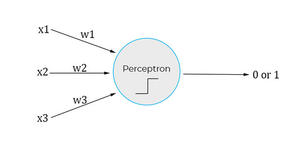 Perceptron diagram with weights