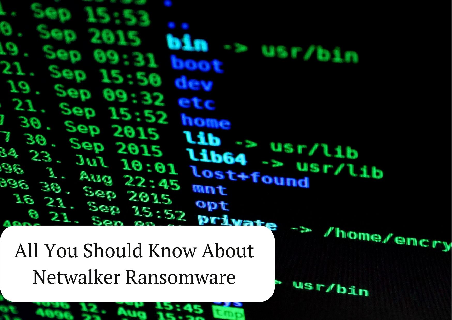 What You Need to Know About Netwalker Ransomware