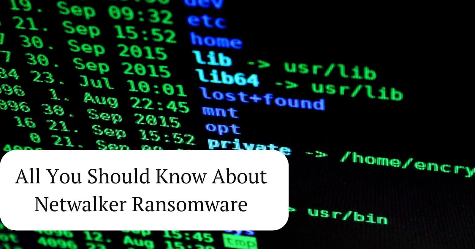 What You Need to Know About Netwalker Ransomware
