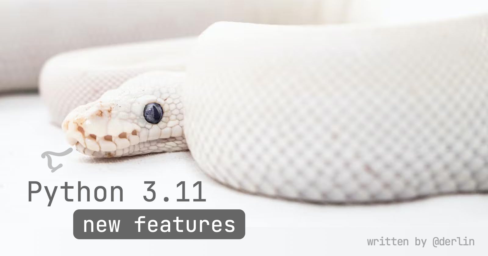 7 Python 3.11 new features 🤩
