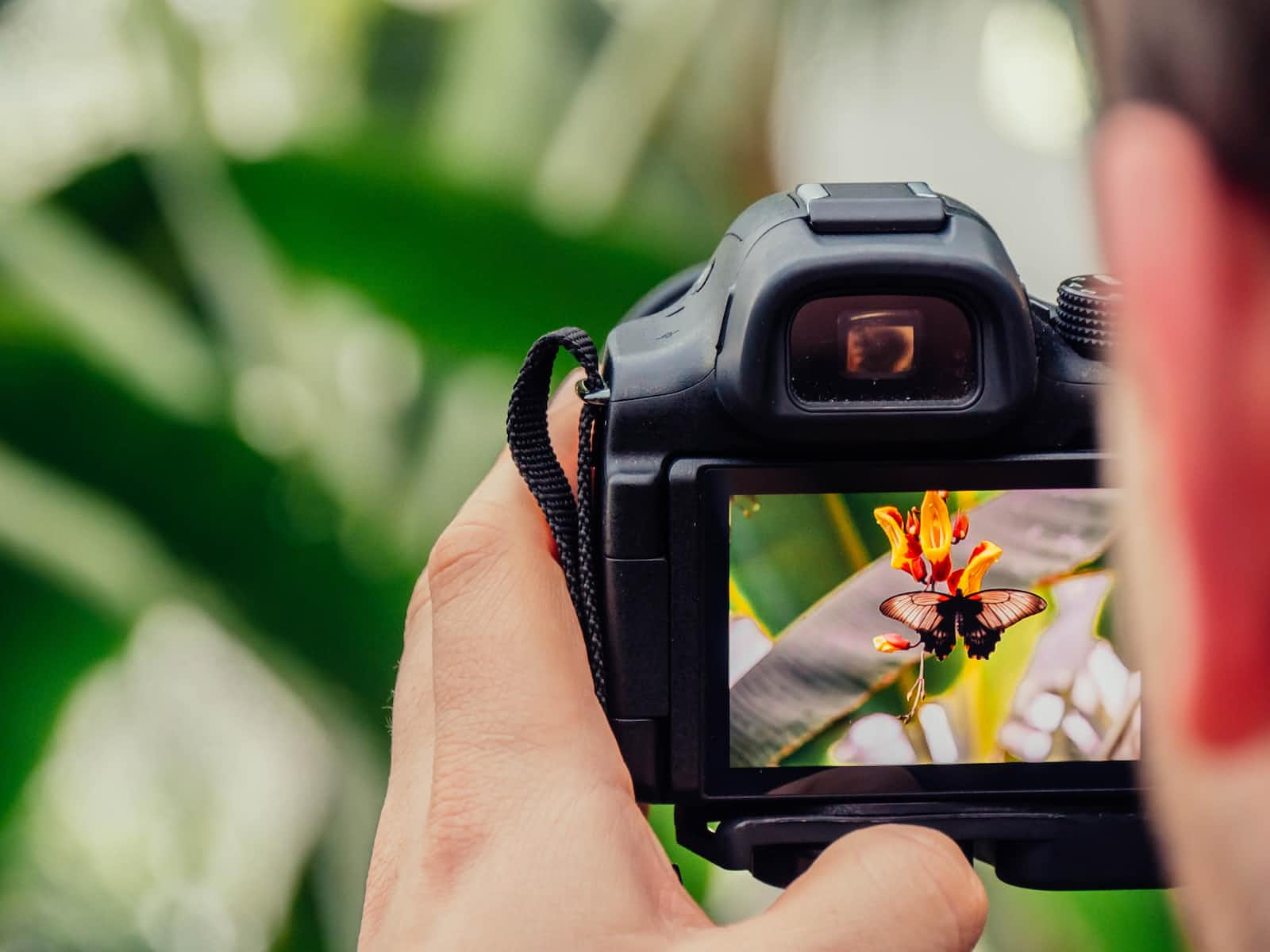 5 YouTube Channels to Help You Improve Your Photography Skills