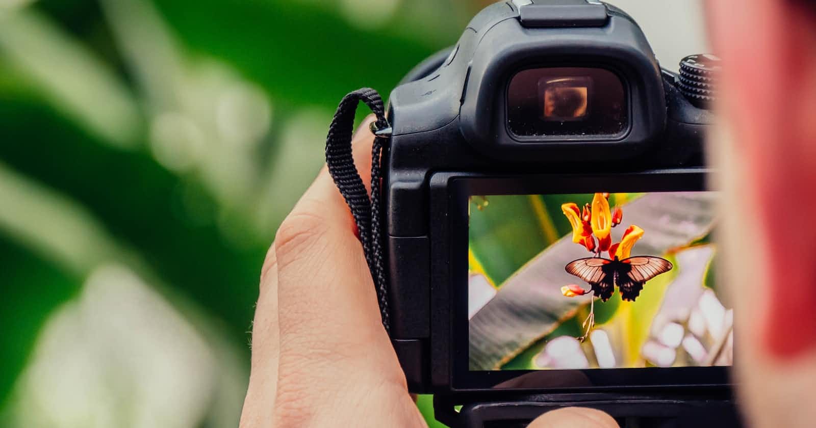 5 YouTube Channels to Help You Improve Your Photography Skills
