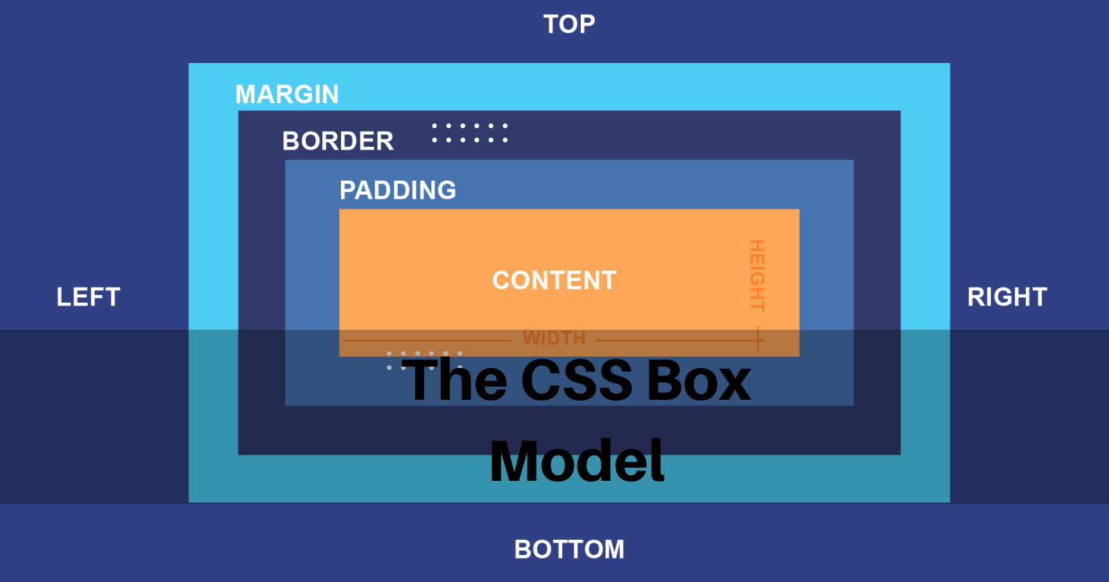 The CSS Box Model