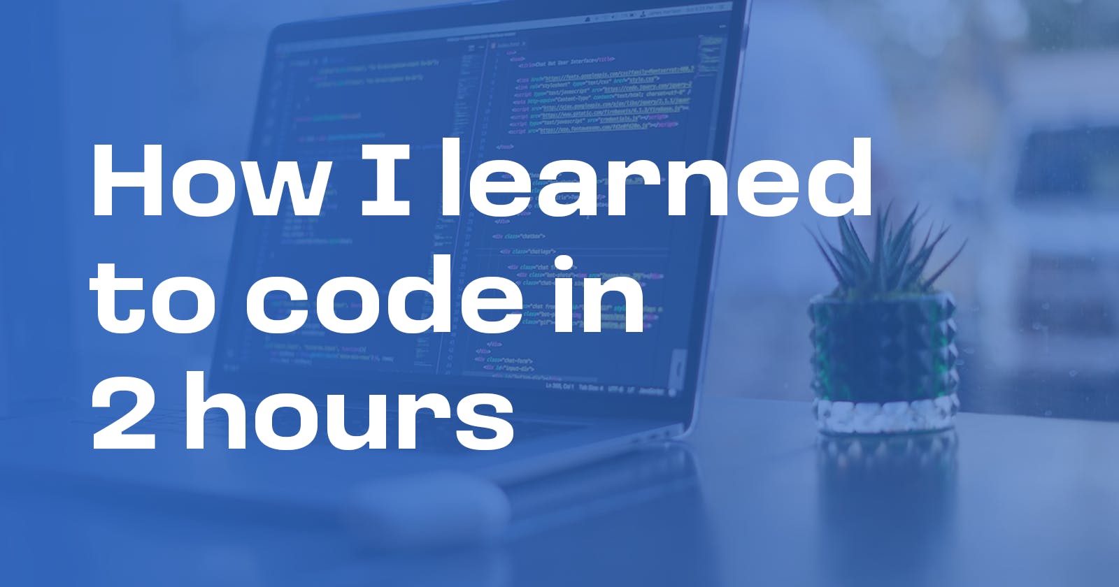 How I learned to code in 2 hours...