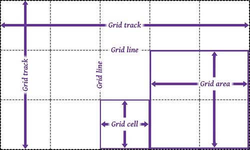 grid cell.jpg