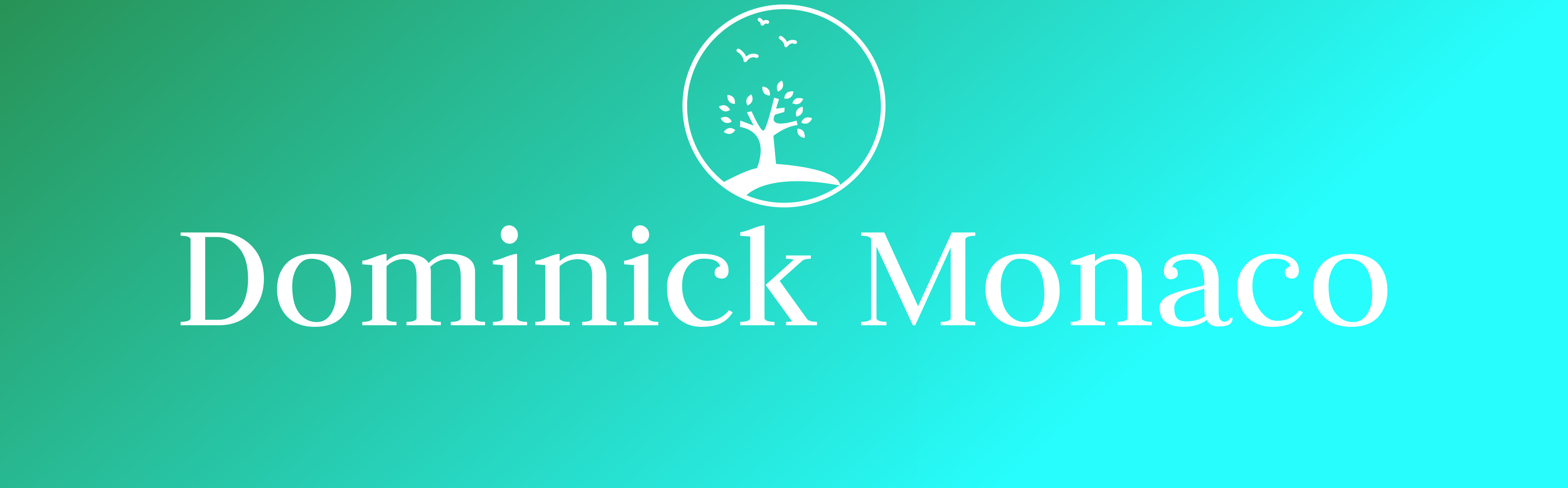 Dominick J Monaco's Tech and Life blog.