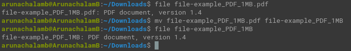 file command displaying file type without the extension