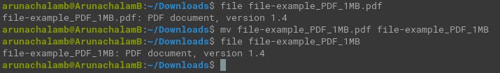 file command displaying file type without the extension