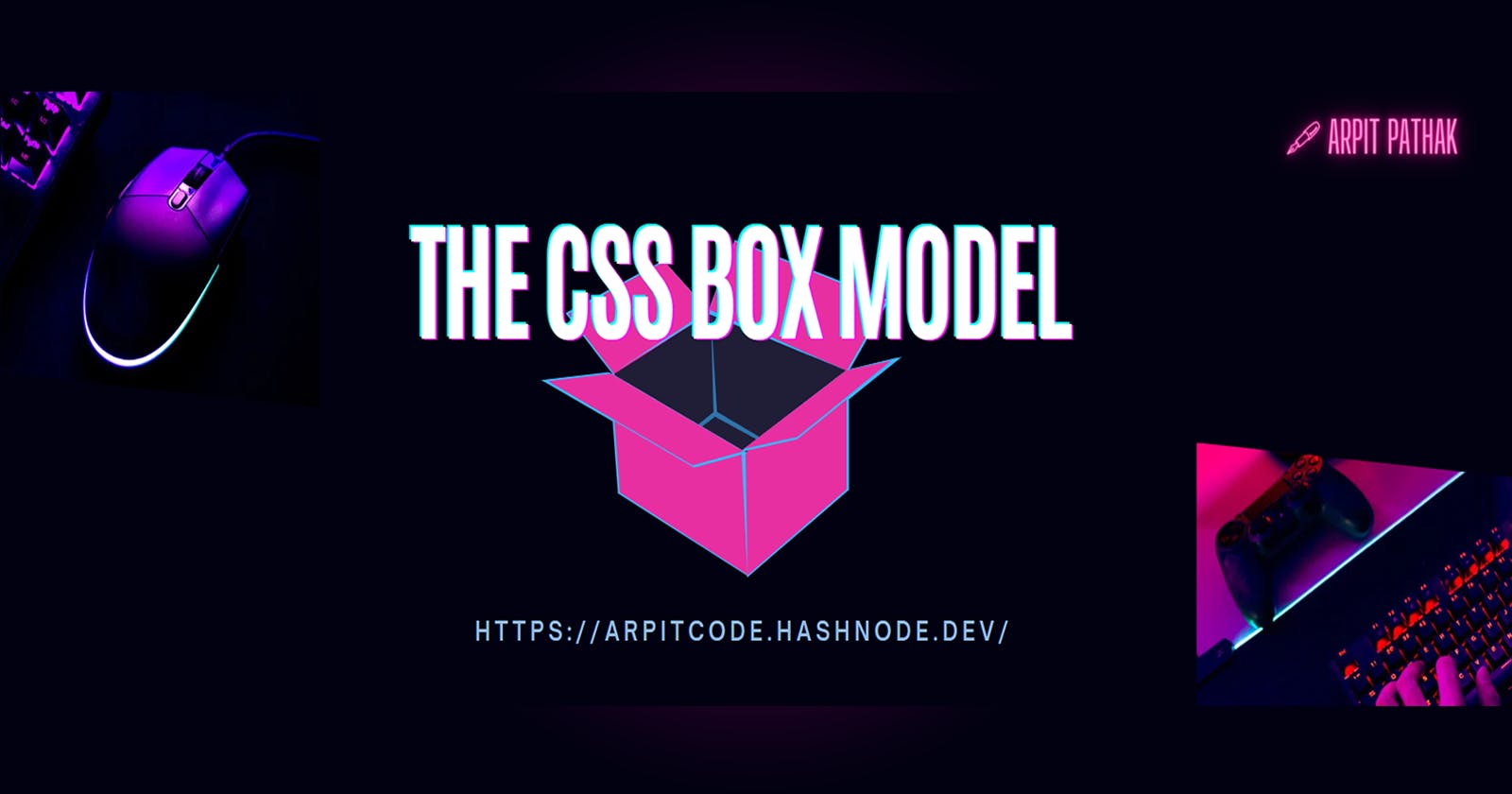 📦 The CSS Box Model 📦