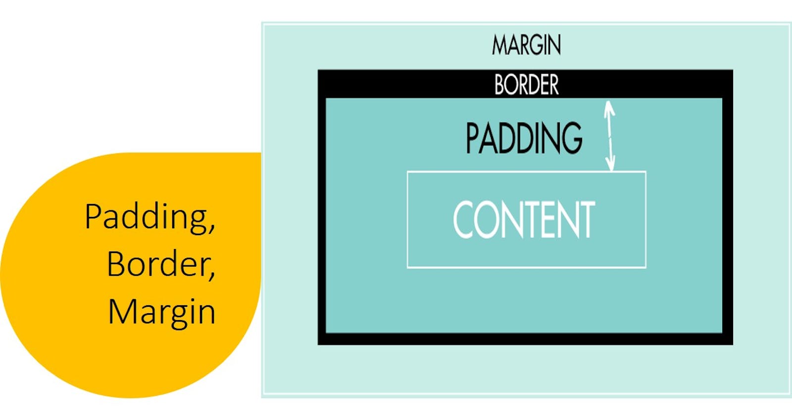 CSS : Padding , Border , Margin