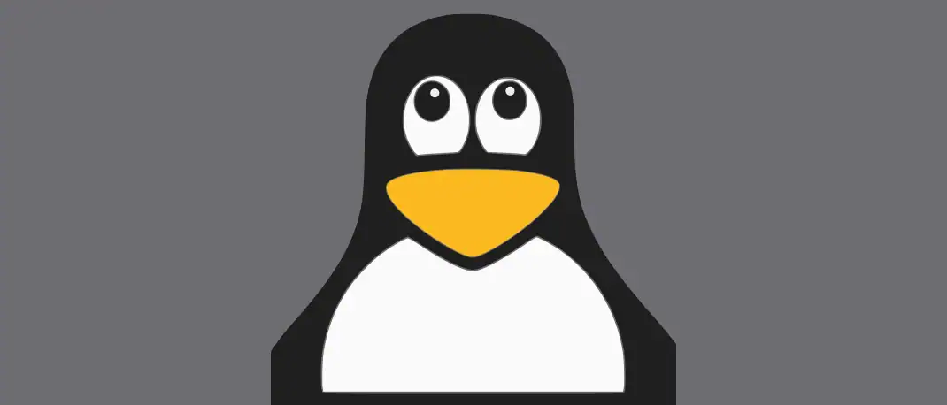 Get Ahead of the Curve: Top 5 Linux Distros to Try in 2023