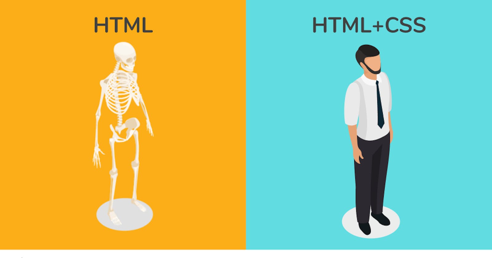 Beginners Guide to HTML Anatomy