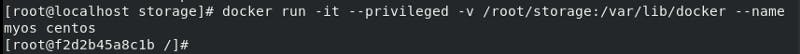 Running docker container in privileged mode