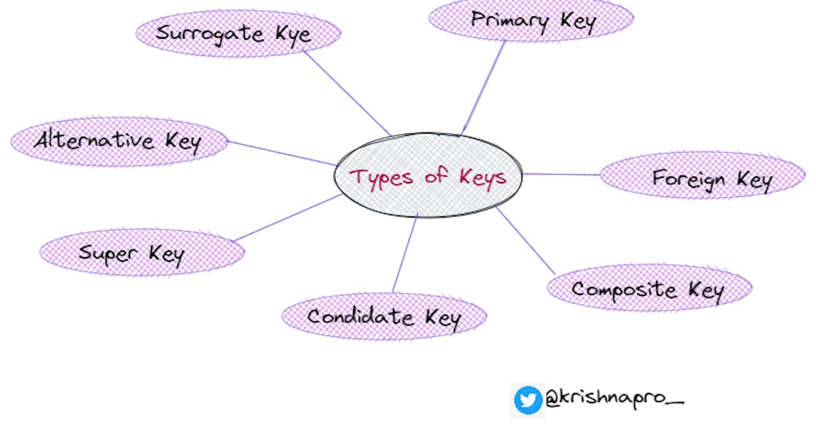 Key Concepts in Database Management: A Beginner's Guide