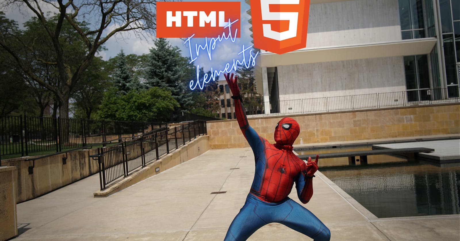 A Dive into HTML Input Element