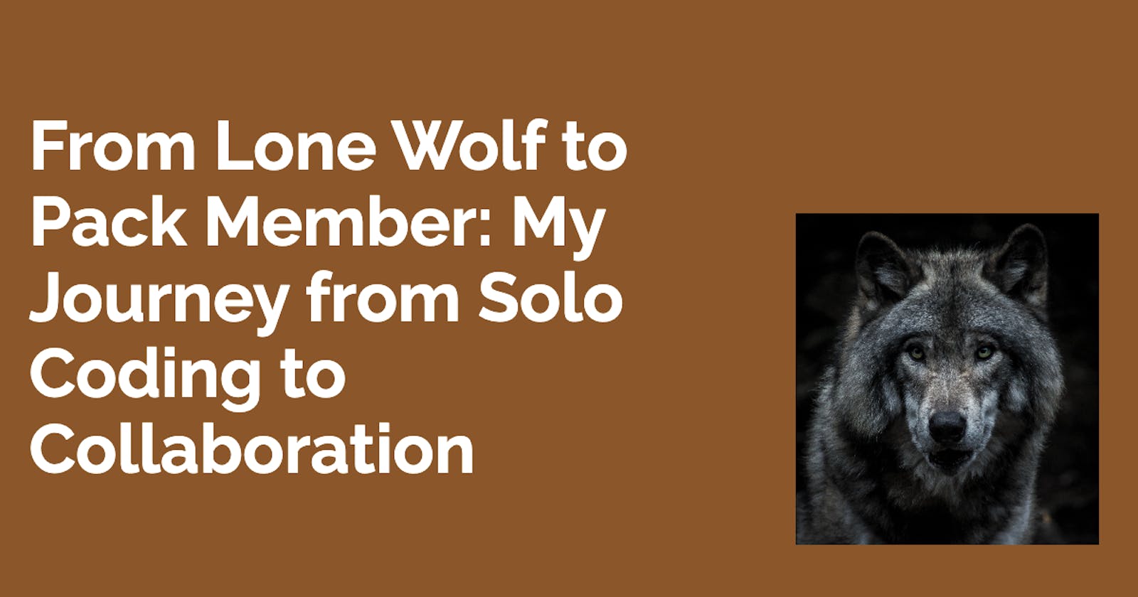 From Lone Wolf to Pack Member: My Journey from Solo Coding to Collaboration