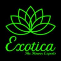 Exotica Gifting's photo