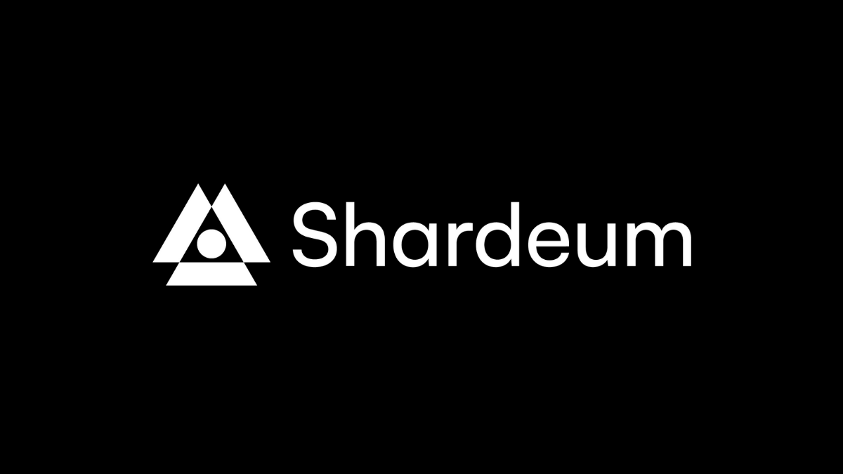 Shardeum Explained