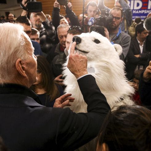 Joe Biden Playing With A Dog
