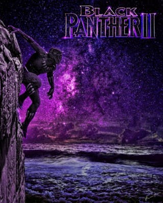Black Panther 2 Night Poster