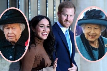 The Queen Disappointed In Harry's Megxit Meme