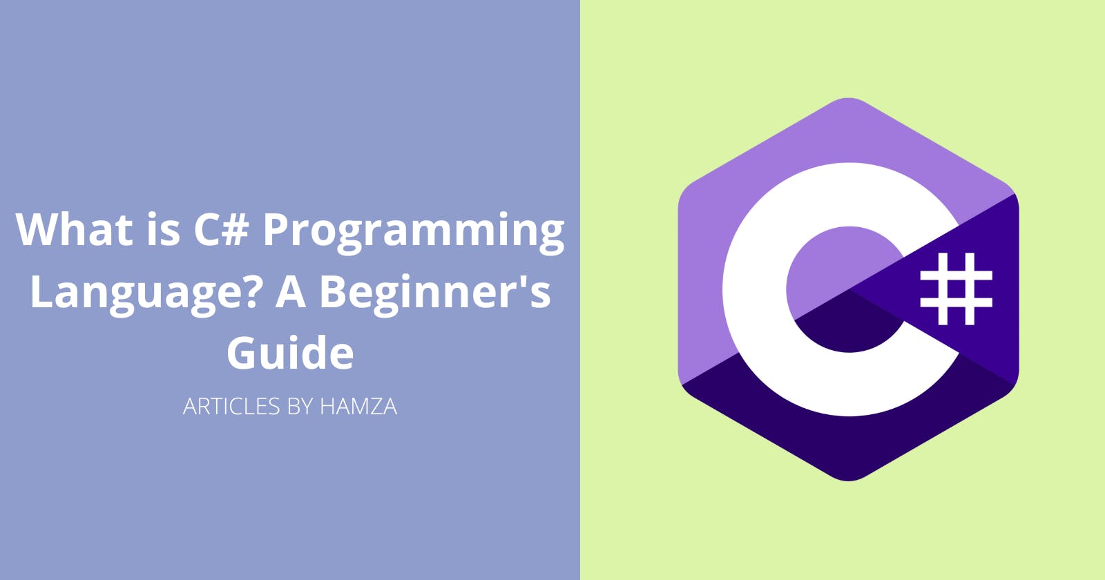 What is C# Programming Language? A Beginner's Guide