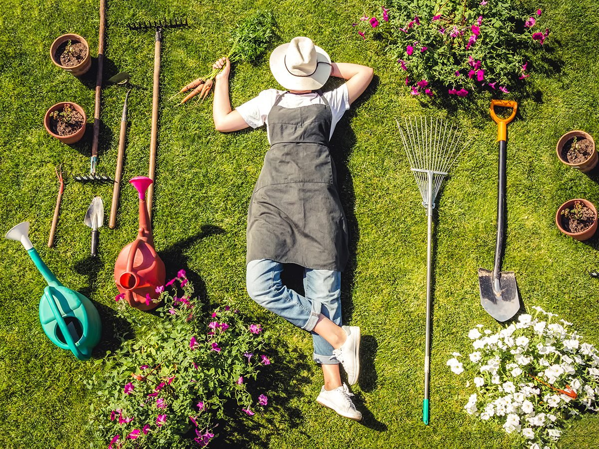 How to start a garden from scratch