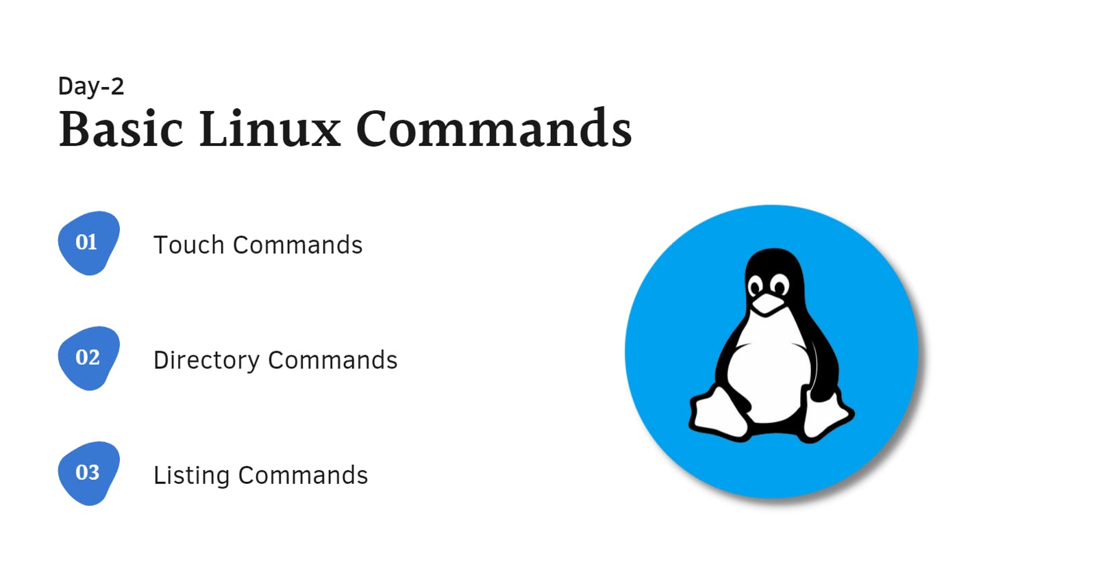Basic Linux Commands