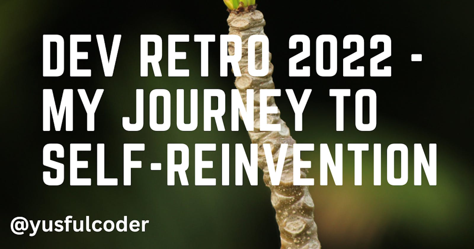 Dev Retro 2022 - My Journey to Self-Reinvention
