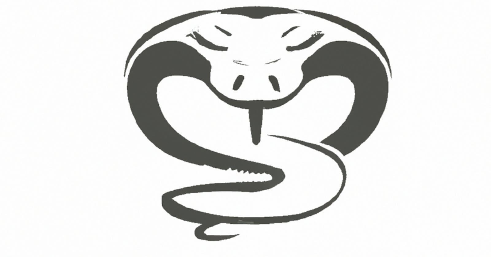 Rapid Intro To Python: Part 1