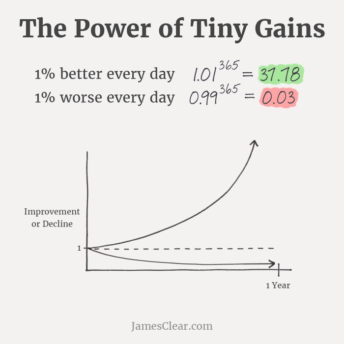 The power of tiny gains by james clear