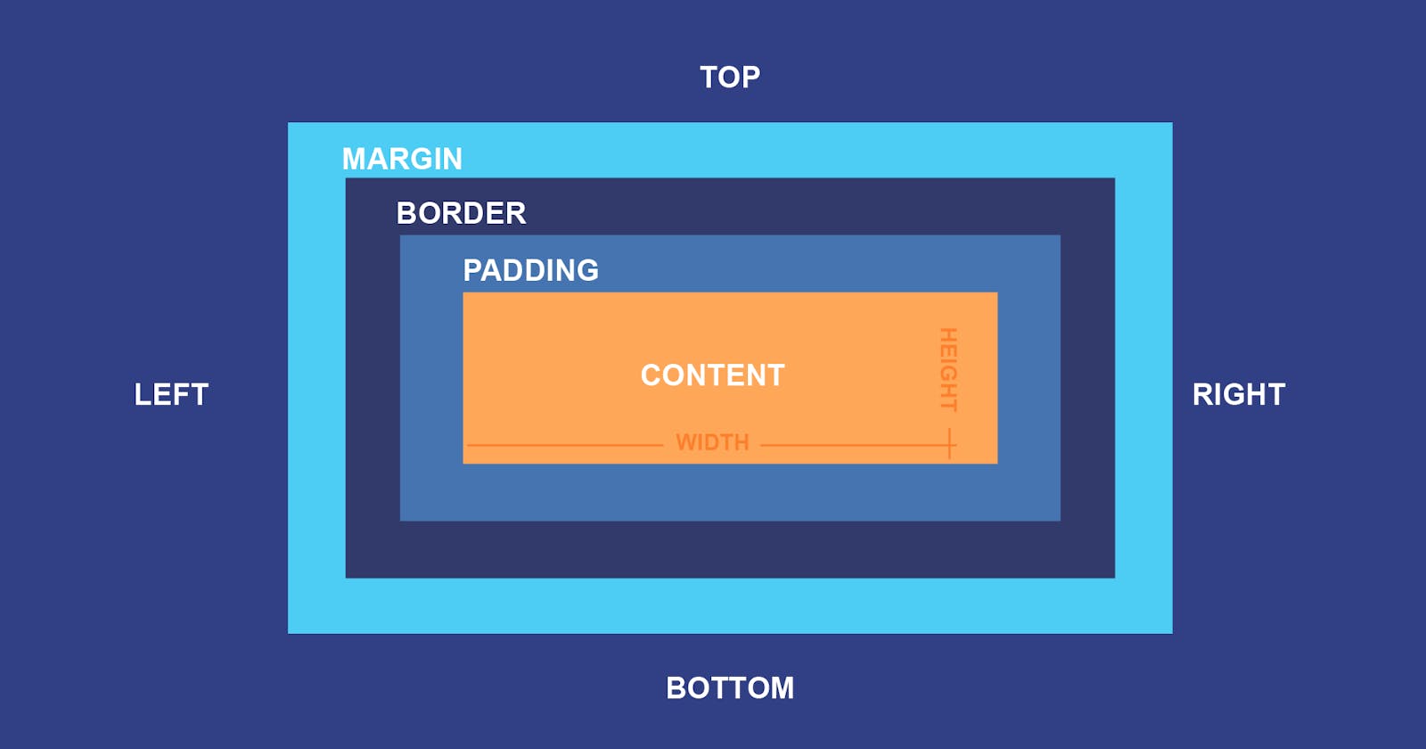 CSS Positions, Box Model and CSS Grid