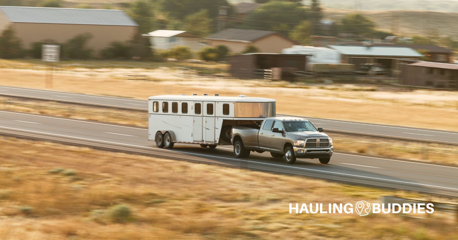 Eliminating the Middleman: How Hauling Buddies is Streamlining the Animal Transportation Industry