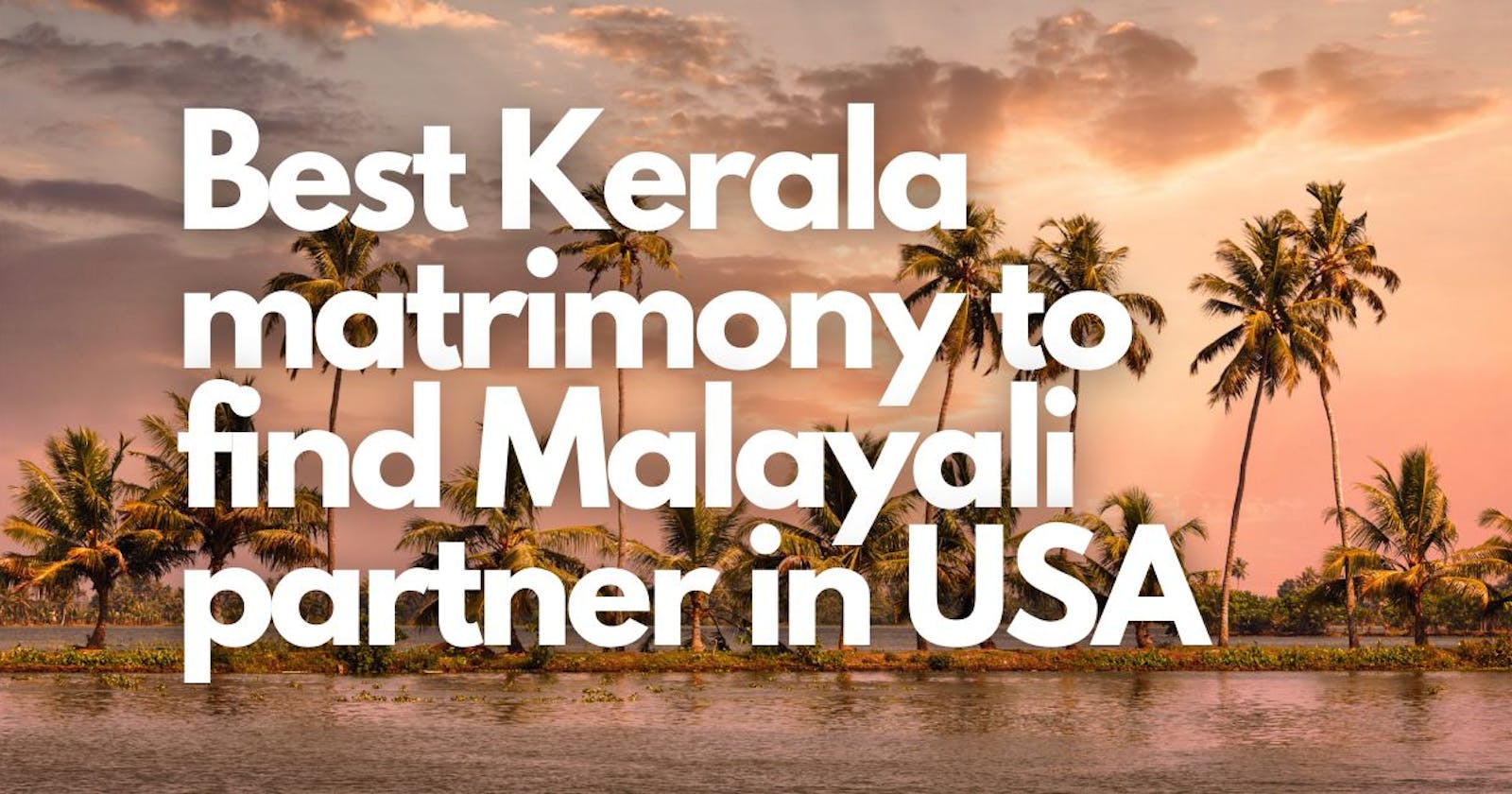 Which is the best Kerala matrimony to find Malayali partner in USA?