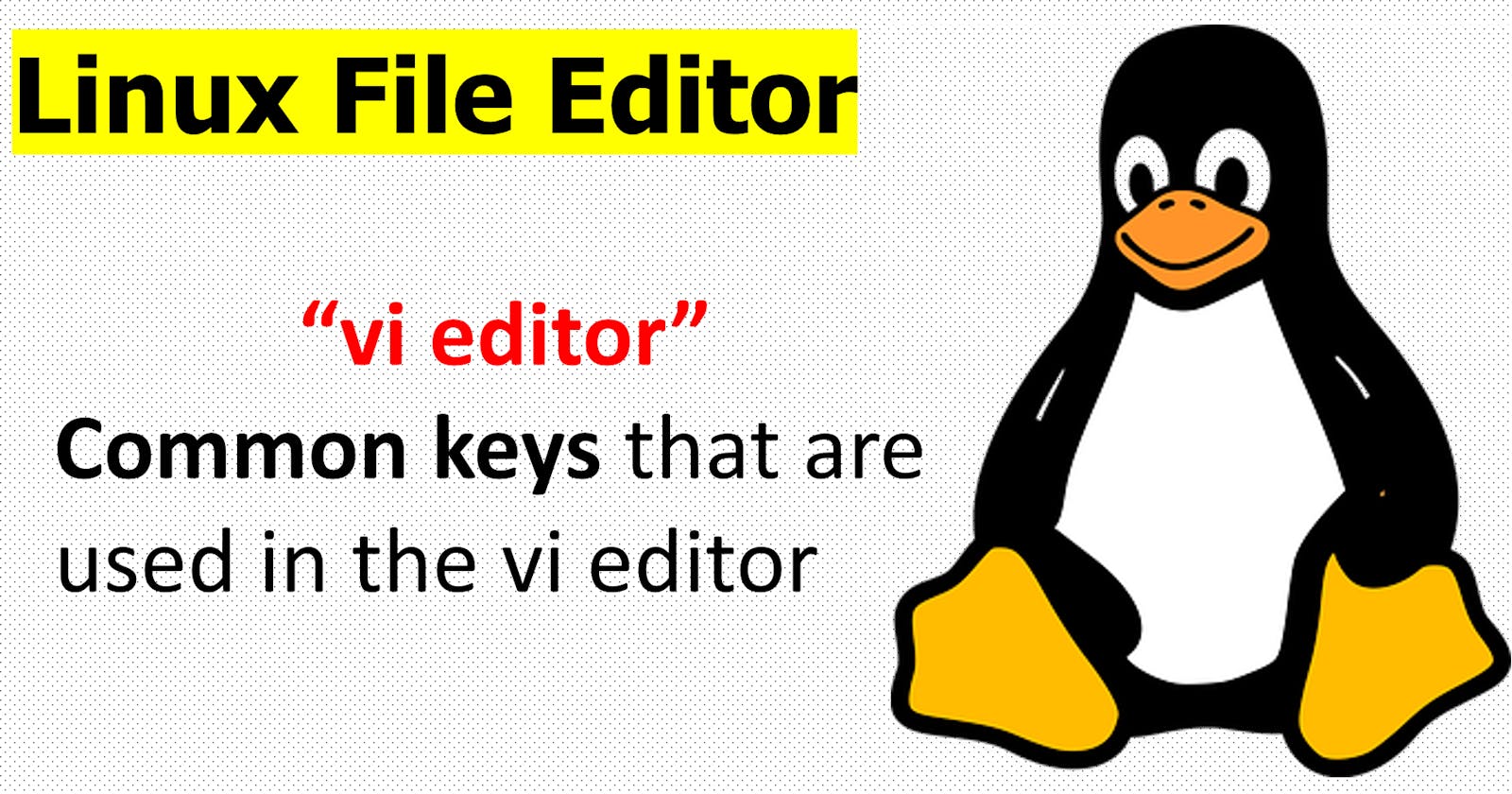 Linux File Editor