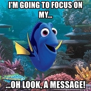 A meme about focus