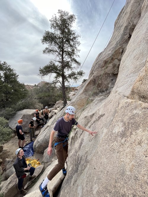 Master the Art of Rock Climbing in Joshua Tree with Expert Lessons | Joshua Tree Lizard