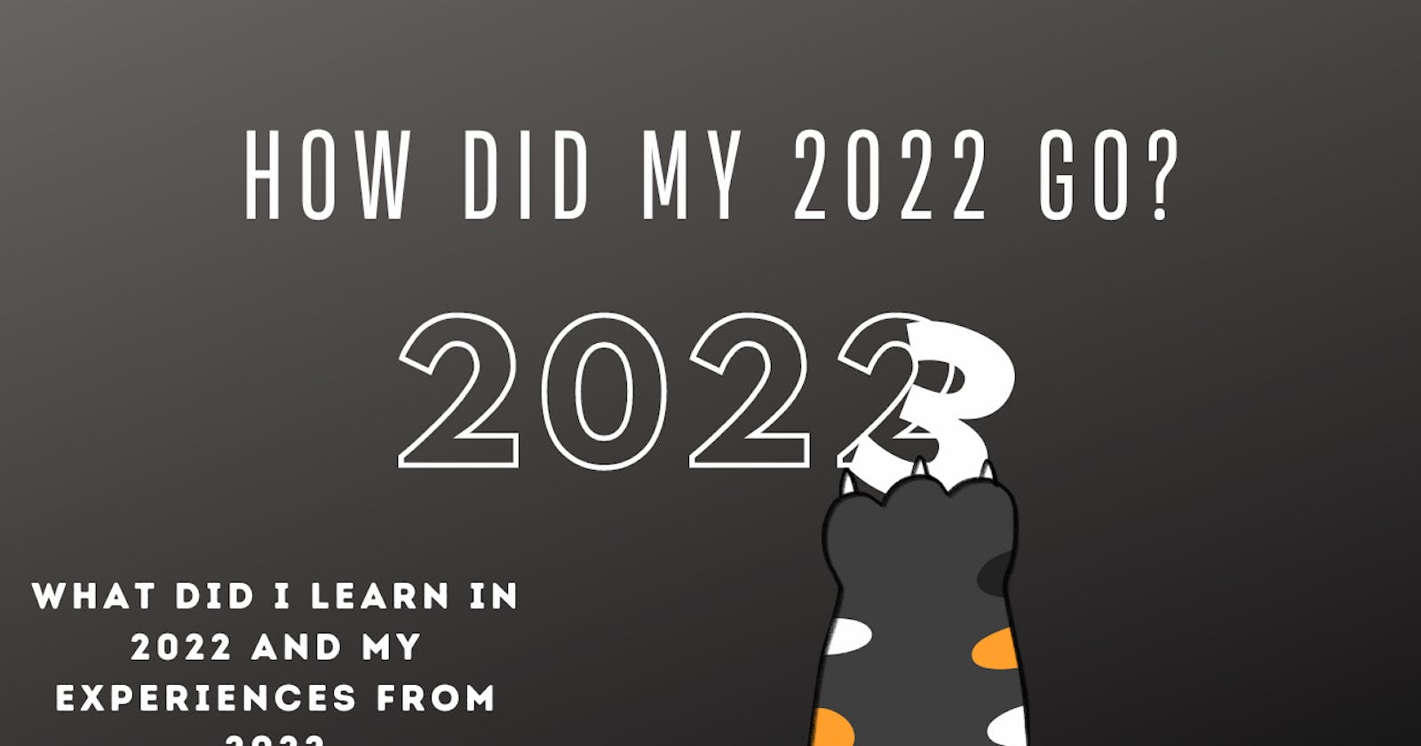 How did my 2022 go?