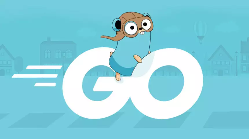 Learn Go