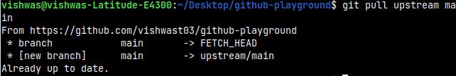 Output of git pull command