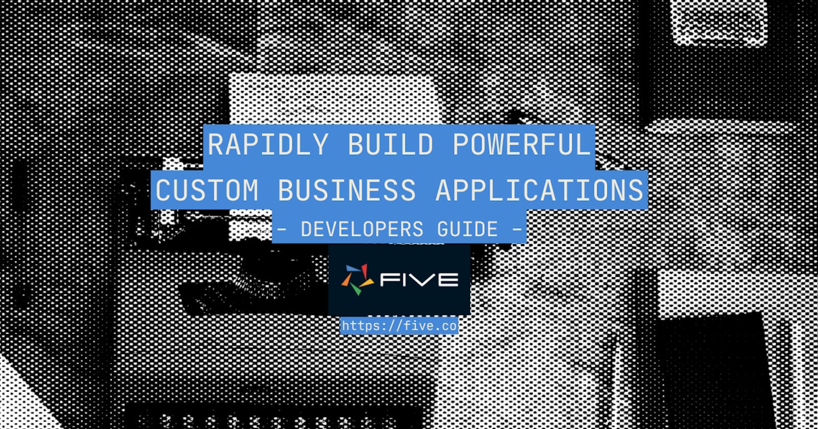 Rapidly Build Powerful Custom Business Applications: A Developer's Guide