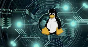 Script - Linux Command To Make Your Records