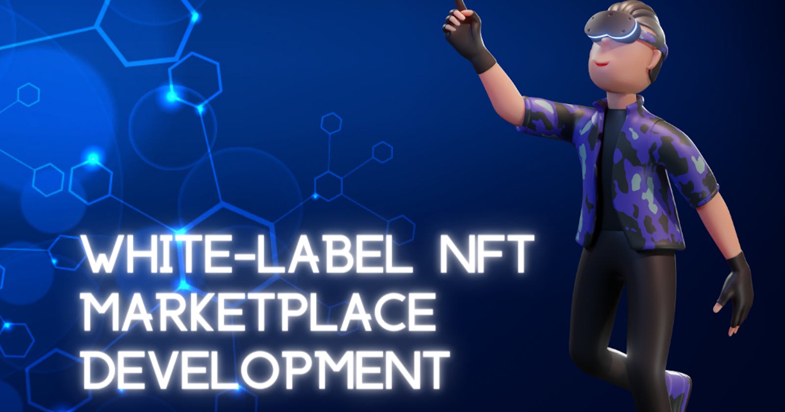Get Ahead of the Game with a Customized White-label NFT Marketplace Development