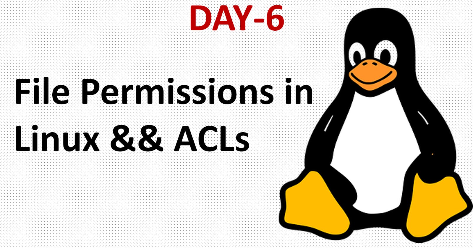 Day 6: File Permissions and Access Control List (ACL)
