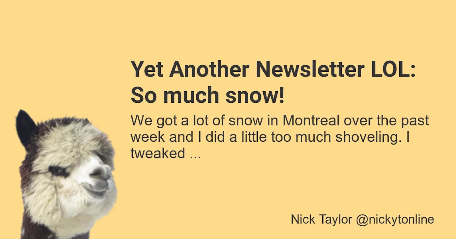 Yet Another Newsletter LOL: So much snow!